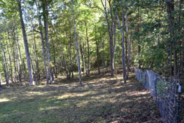 688 Boone Ridge Road Jamestown, TN 38556 - Photo 57 of 71 Gallery Image 57