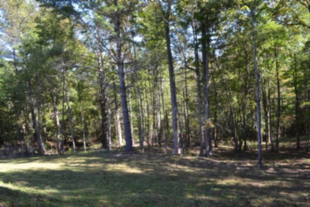688 Boone Ridge Road Jamestown, TN 38556 - Photo 58 of 71 Gallery Image 58