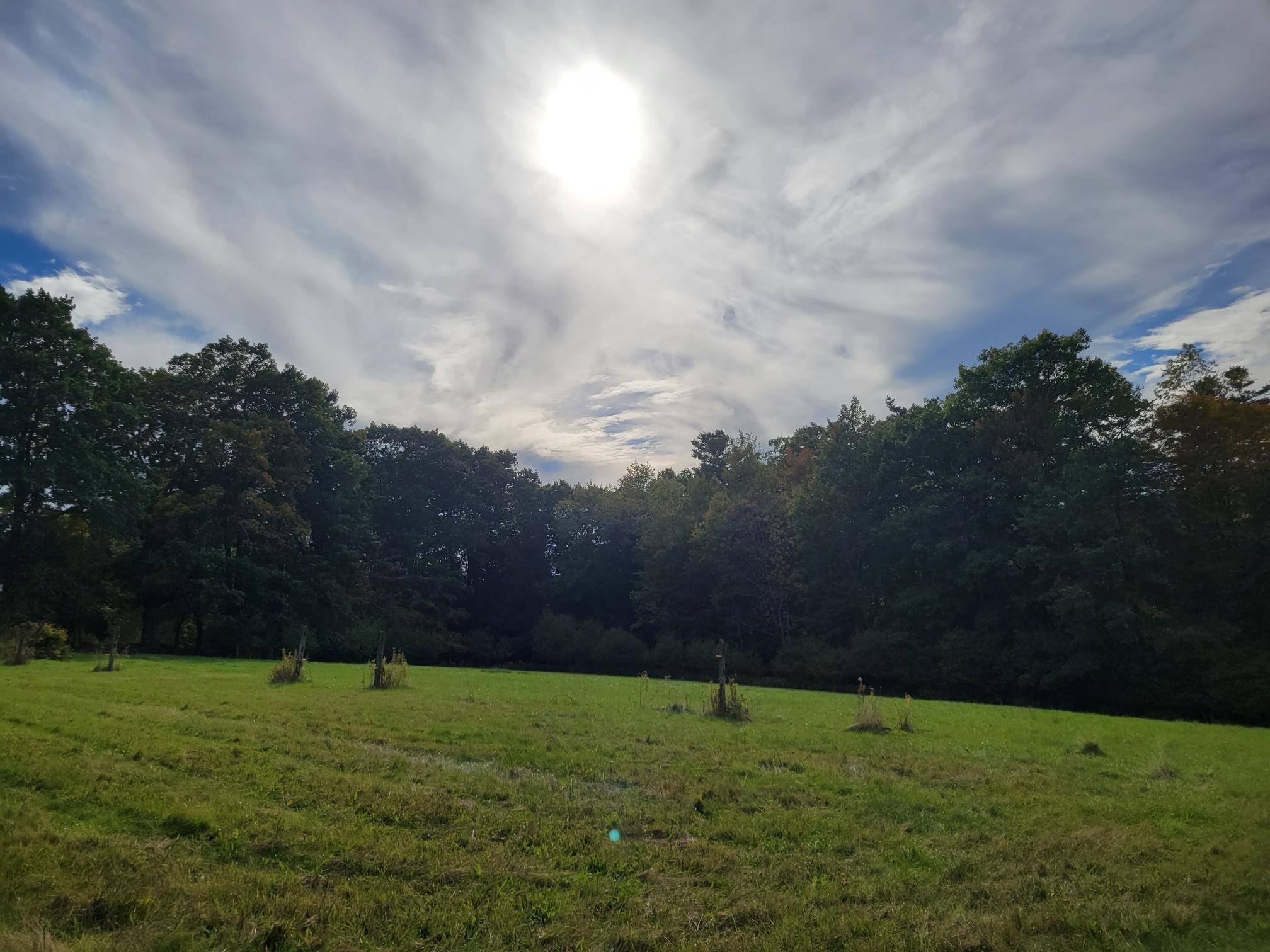 30 Jacquith Road Jaffrey, NH 03452 - Photo 22 of 40