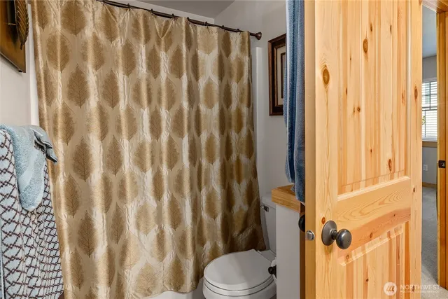 a bathroom with a shower curtain and a curtain