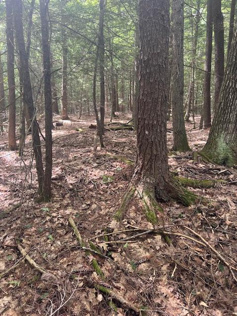 0 Miso Way Buxton, ME 04093 - Photo 12 of 14 IMG_4719