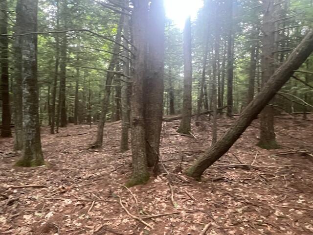 0 Miso Way Buxton, ME 04093 - Photo 8 of 14 IMG_4729