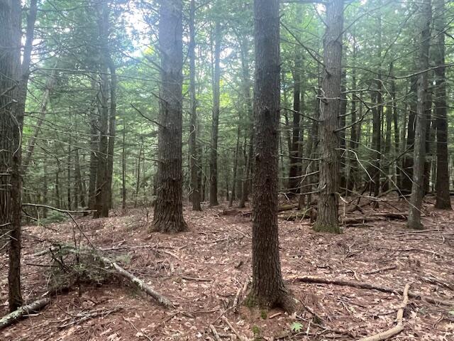 0 Miso Way Buxton, ME 04093 - Photo 9 of 14 IMG_4727