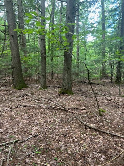 0 Miso Way Buxton, ME 04093 - Photo 10 of 14 IMG_4717