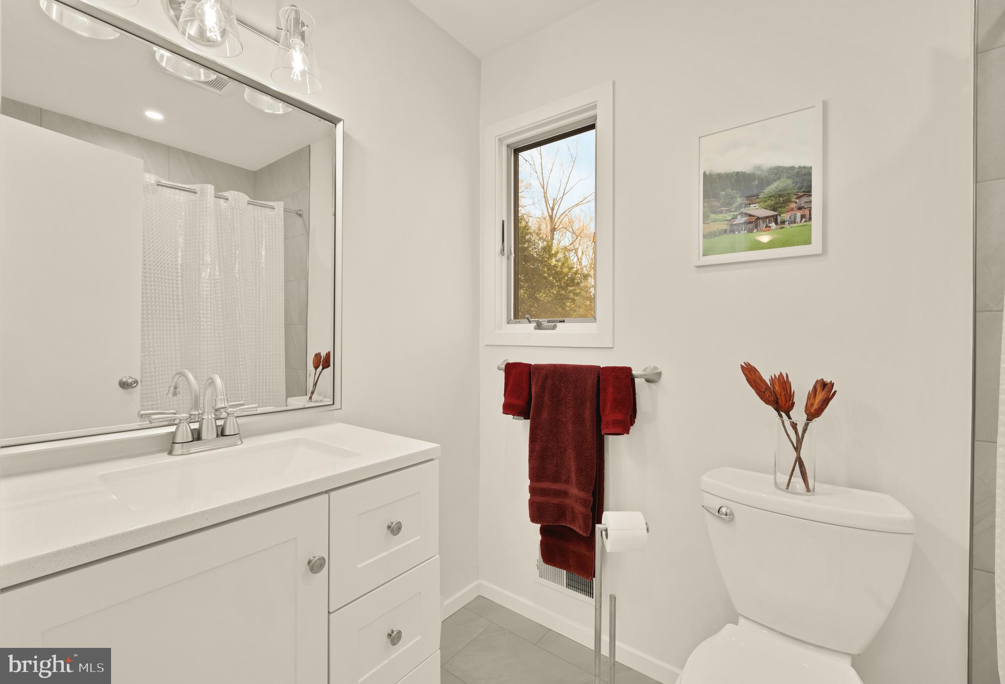 10419 Crossing Creek Road Potomac, MD 20854 - Photo 53 of 74 a bathroom with a toilet sink and mirror