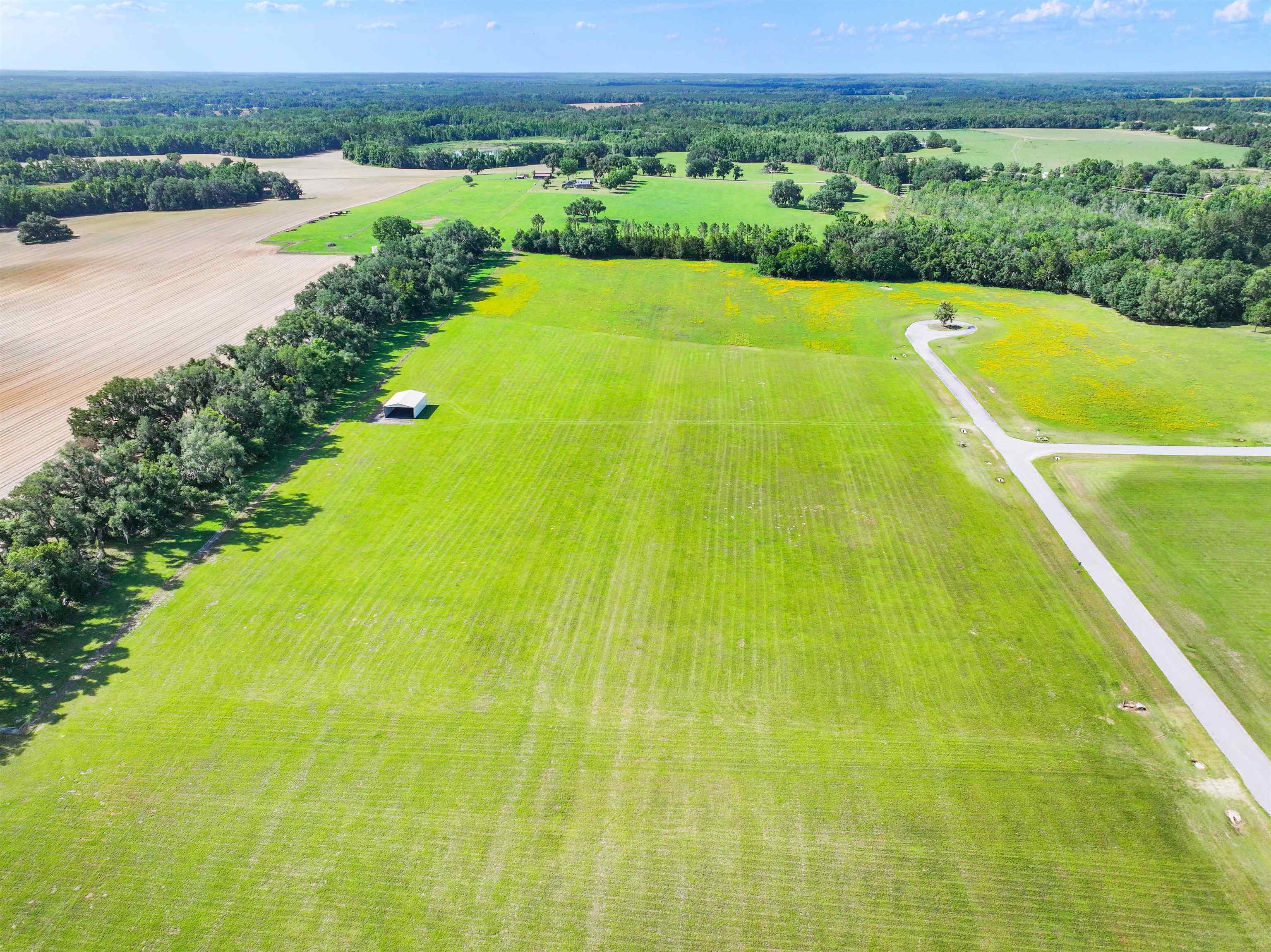 0 Northwest Loper Plantation Road Madison, FL 32340 - Photo 10 of 16