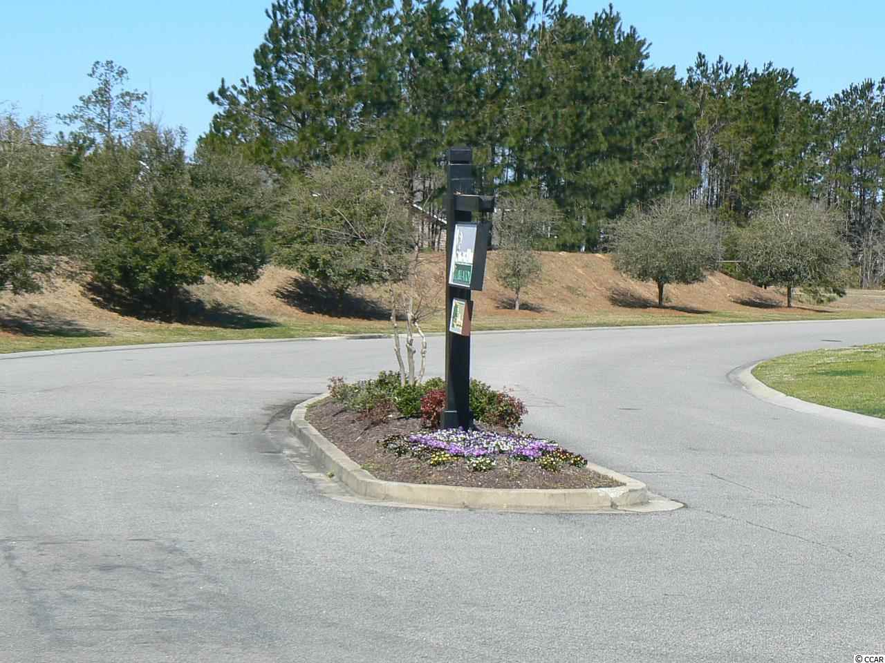 741 Rambler Court Myrtle Beach, SC 29588 - Photo 23 of 23 Gallery Image 23