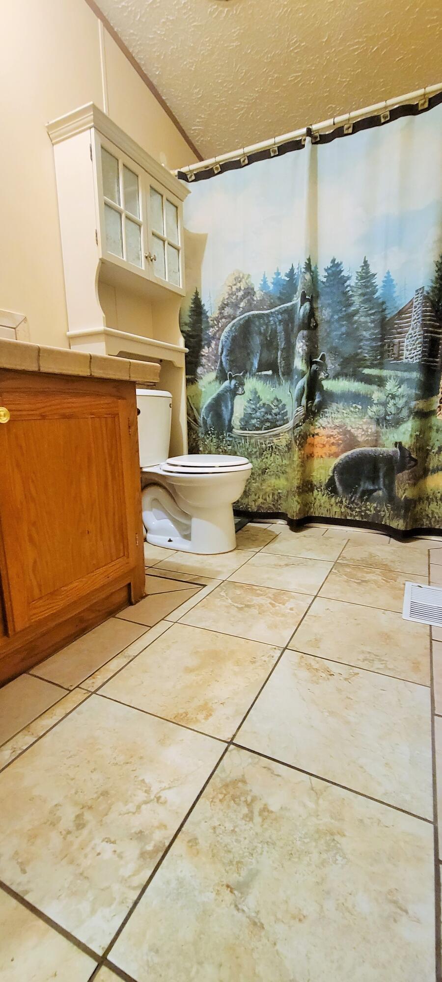 5881 Young Road Bellevue, MI 49021 - Photo 13 of 41 20220810_184824 (2)