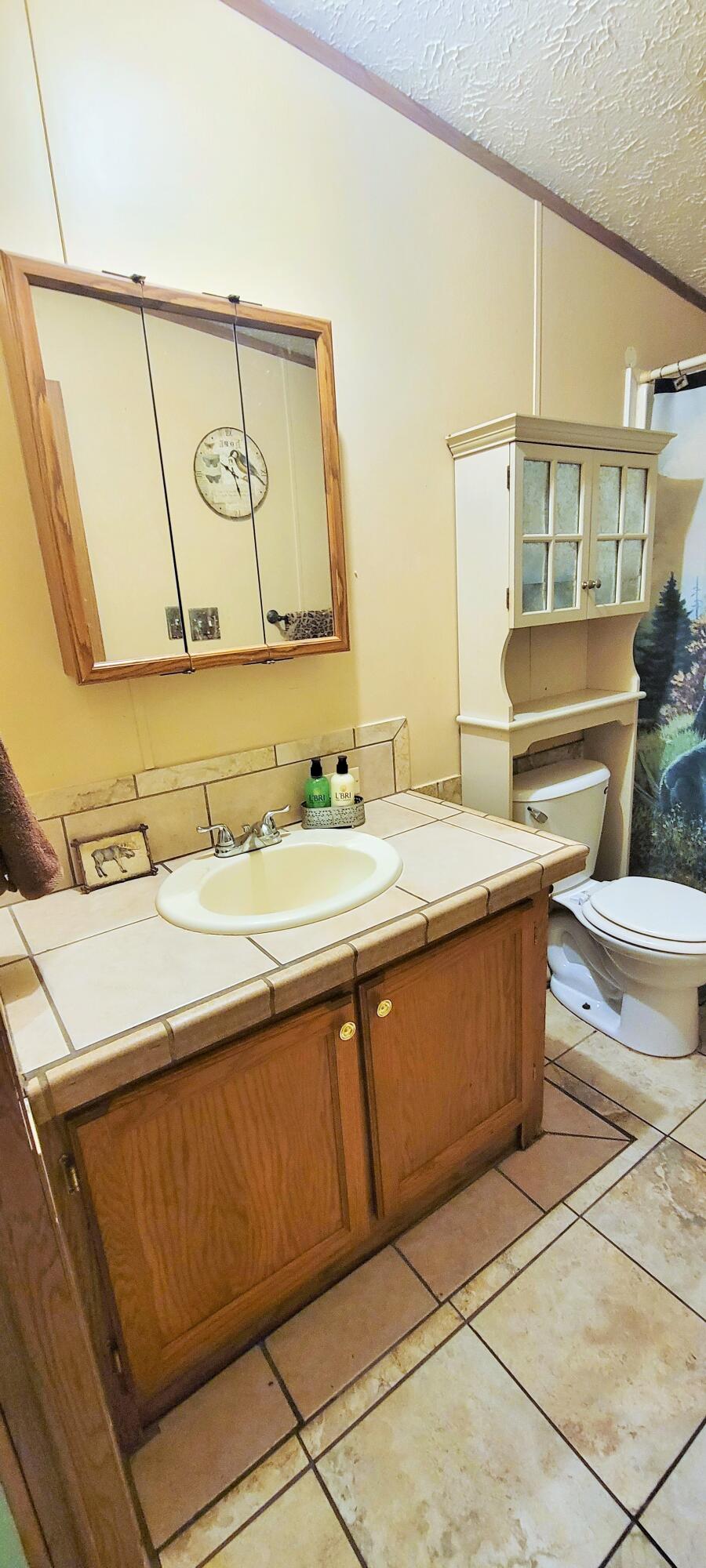 5881 Young Road Bellevue, MI 49021 - Photo 14 of 41 20220810_184832 (2)
