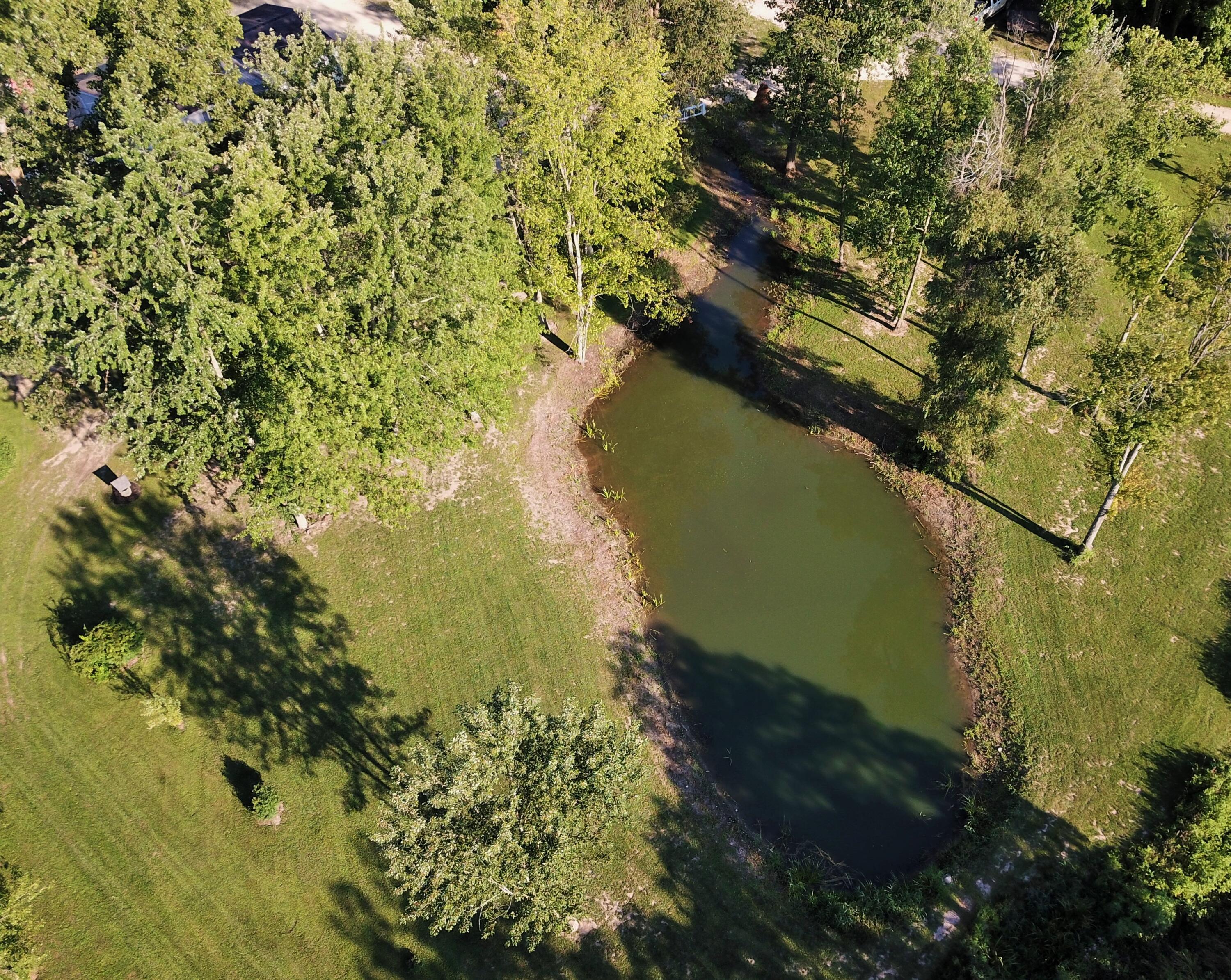 5881 Young Road Bellevue, MI 49021 - Photo 34 of 41 DJI_0159 (2)
