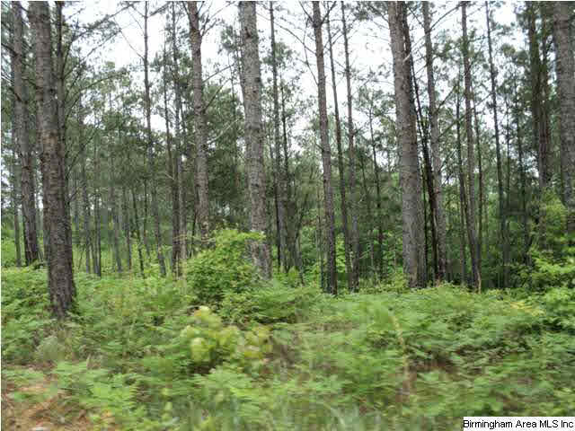 485 County Road, Unit 110 Clanton, AL 35046 - Photo 9 of 22