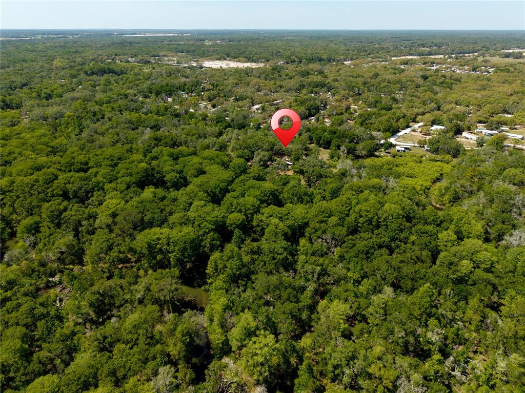 3166 Turtle Street Dade City, FL 33523 - Photo 11 of 57