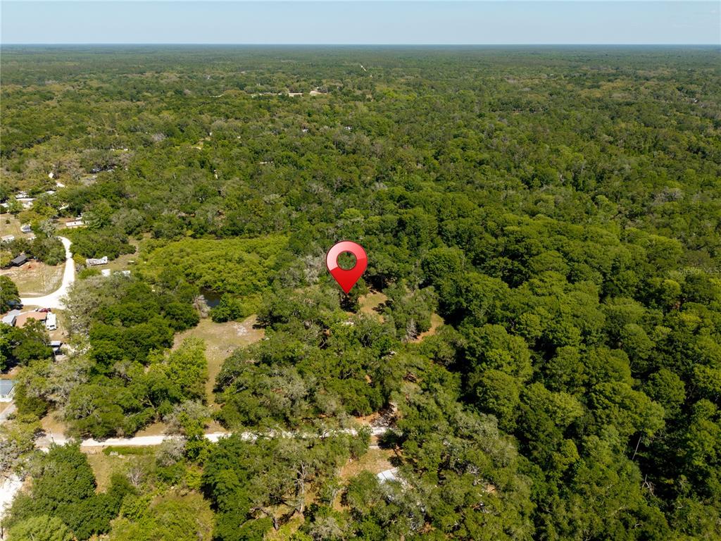 3166 Turtle Street Dade City, FL 33523 - Photo 12 of 57