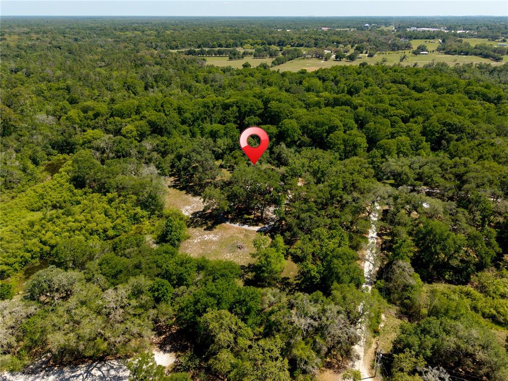 3166 Turtle Street Dade City, FL 33523 - Photo 13 of 57