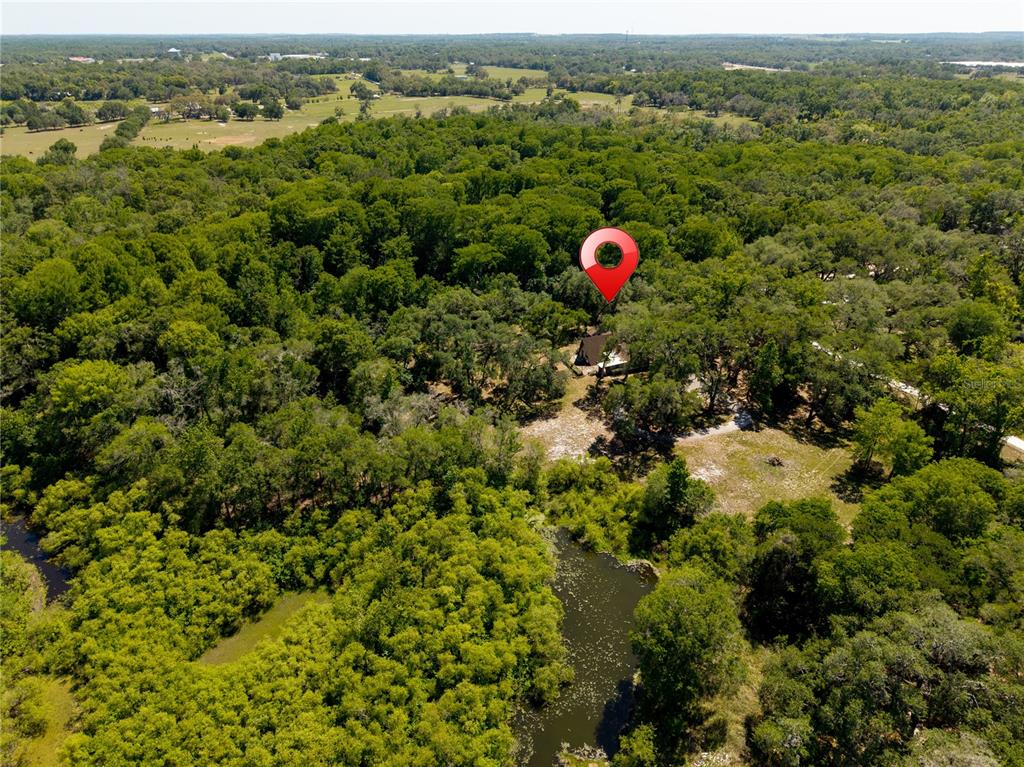 3166 Turtle Street Dade City, FL 33523 - Photo 16 of 57