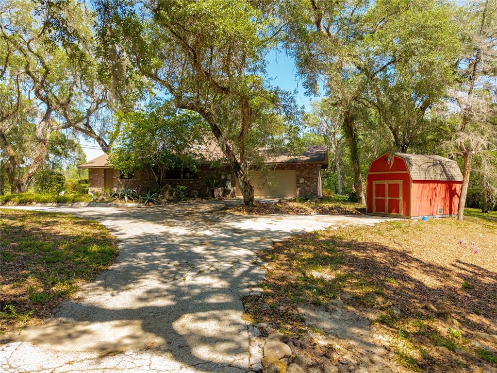 3166 Turtle Street Dade City, FL 33523 - Photo 6 of 57