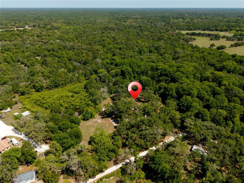 3166 Turtle Street Dade City, FL 33523 - Photo 10 of 57