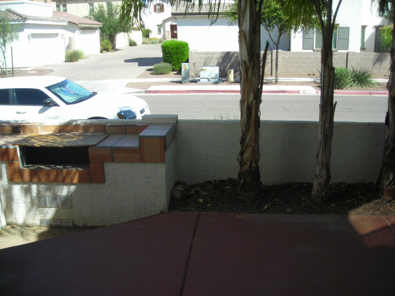 446 North Citrus Lane Gilbert, AZ 85234 - Photo 5 of 6 BACKYARD