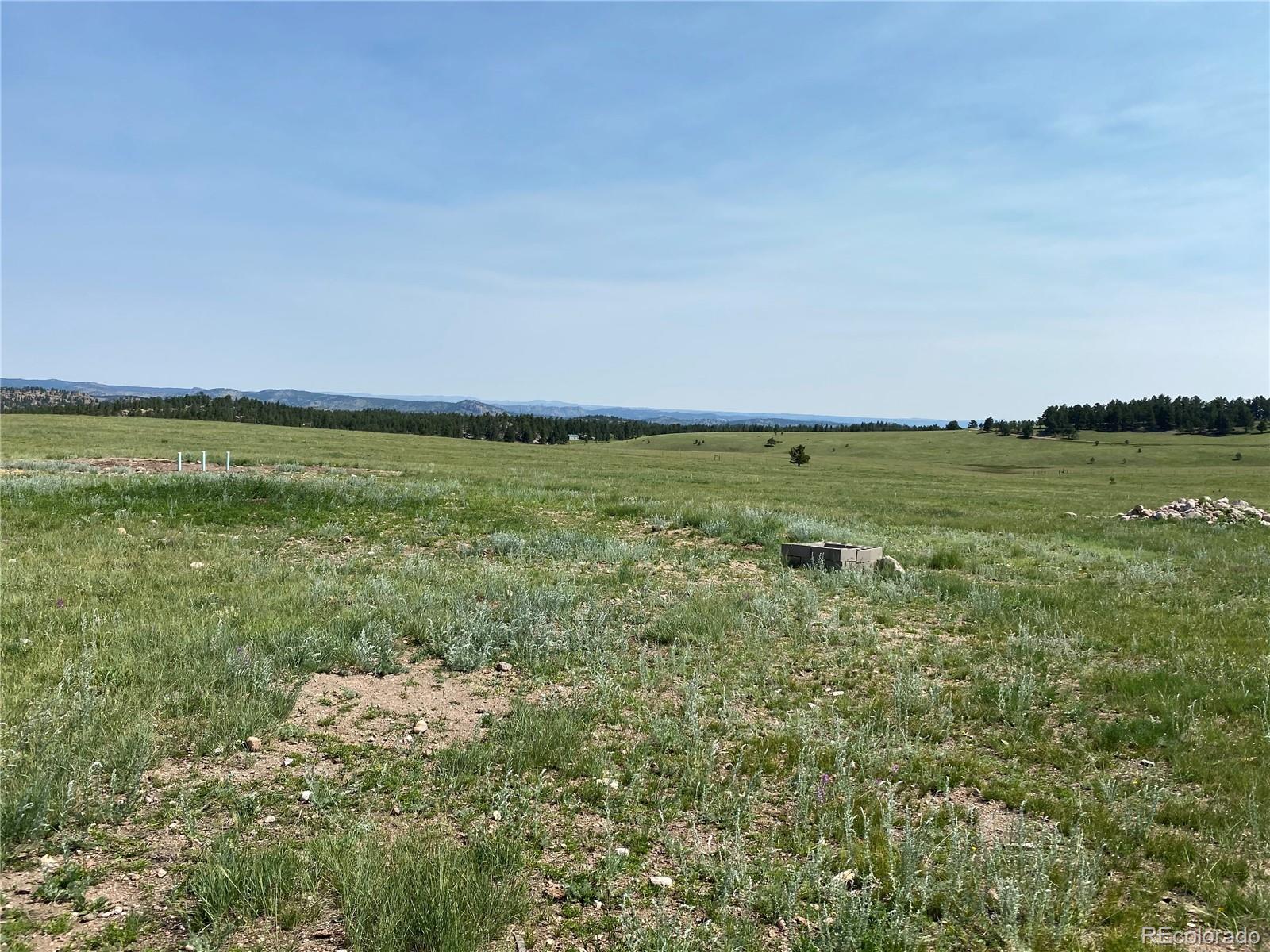 98 Sky Prairie Road Livermore, CO 80536 - Photo 29 of 31 Gallery Image 29