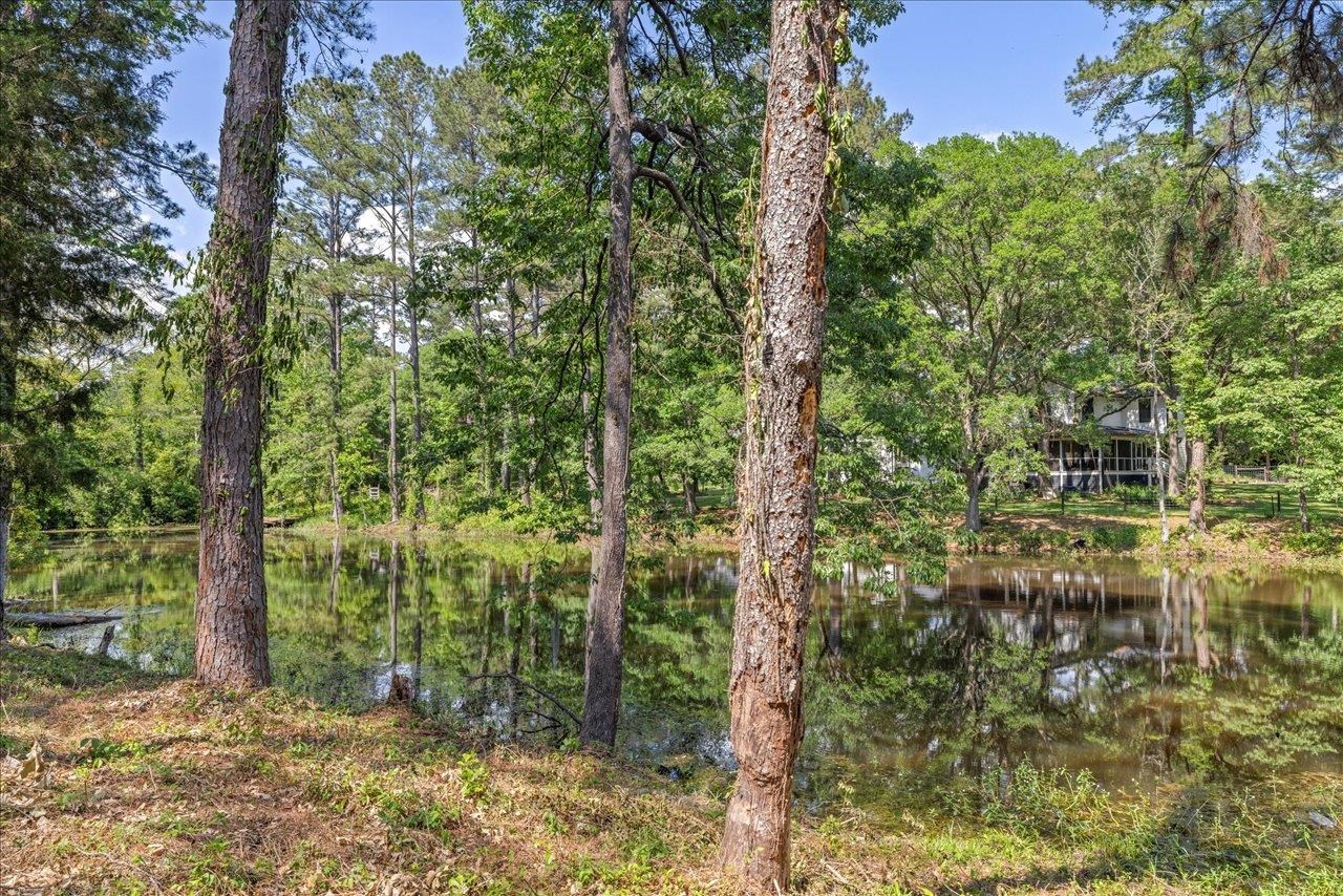 4310 Rabbit Pond Road Tallahassee, FL 32309 - Photo 11 of 56 Gallery Image 11