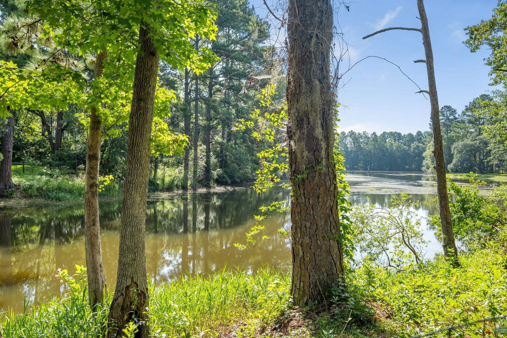 4310 Rabbit Pond Road Tallahassee, FL 32309 - Photo 15 of 56 Gallery Image 15