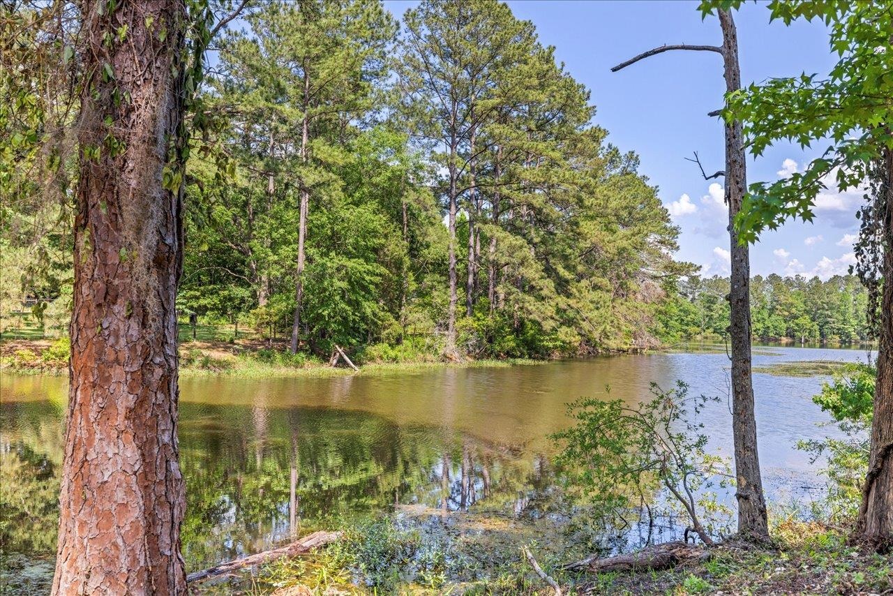4310 Rabbit Pond Road Tallahassee, FL 32309 - Photo 54 of 56 Gallery Image 54