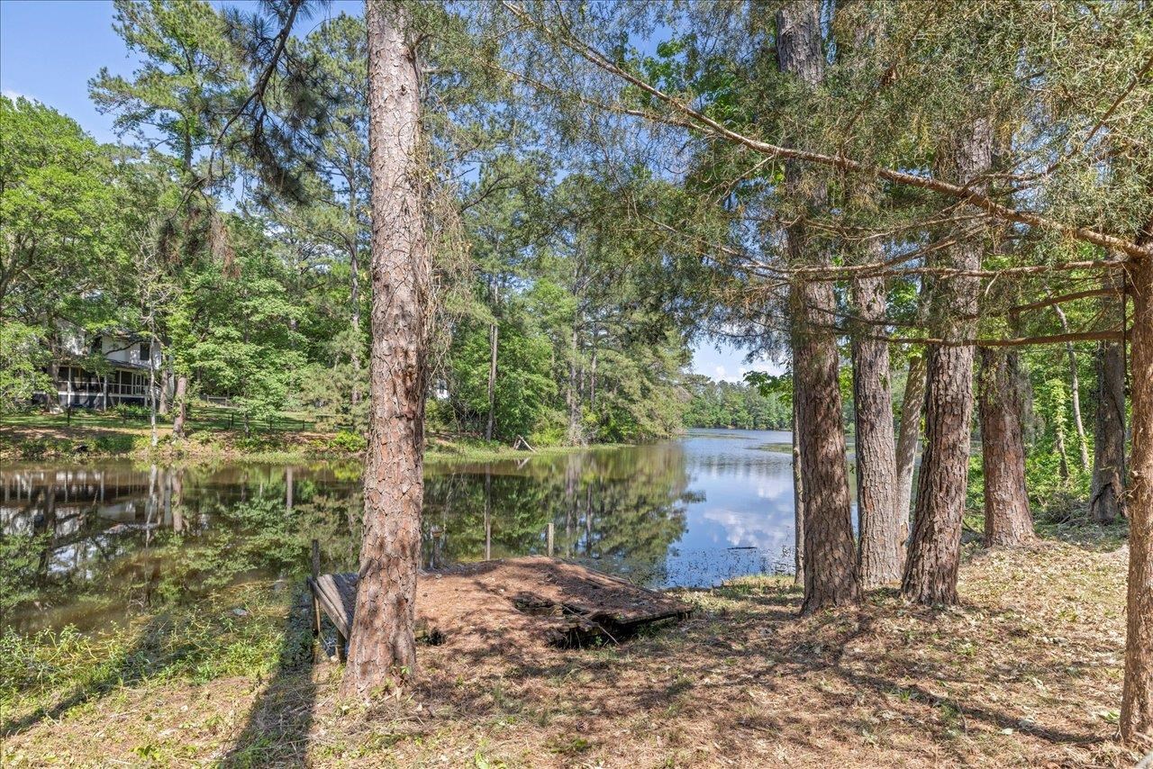 4310 Rabbit Pond Road Tallahassee, FL 32309 - Photo 8 of 56 Gallery Image 8