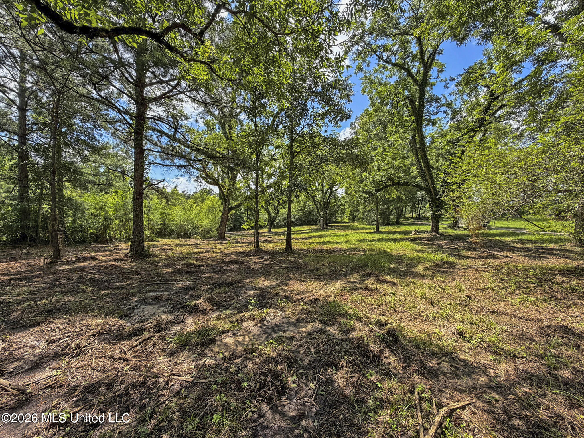 13 Co Road Louin, MS 39338 - Photo 7 of 29 IMG_3432
