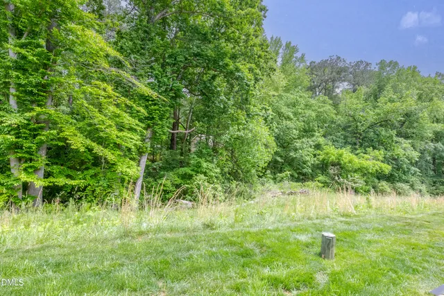 a backyard of a house with lots of green space and a lake view