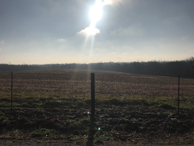 3358 Dover Minerva Road Dover, KY 41034 - Photo 28 of 41 Gallery Image 28