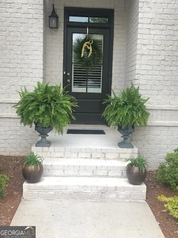 a potted plant sitting on the side of a building