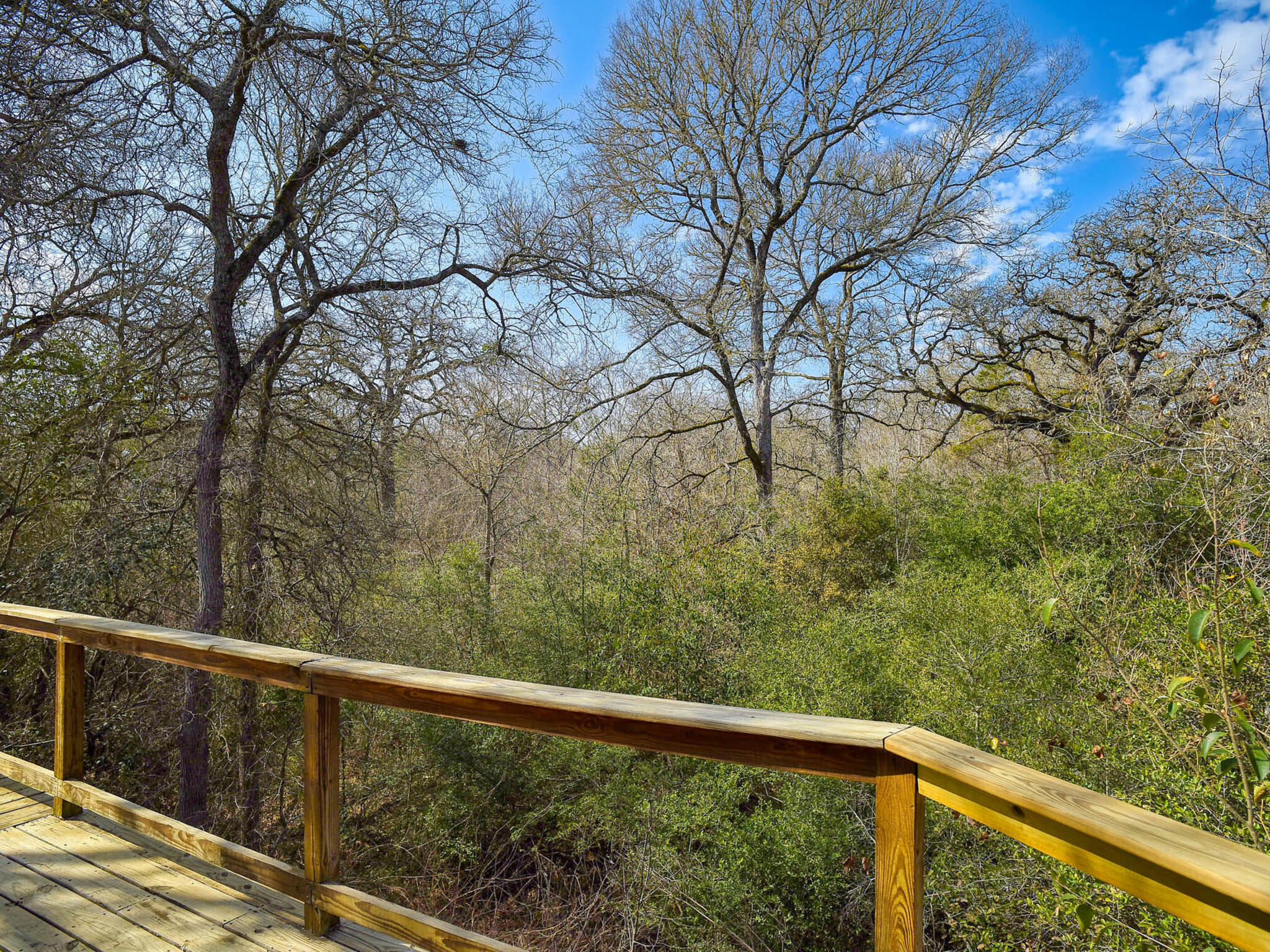 156 Clover Road Cedar Creek, TX 78612 - Photo 32 of 38