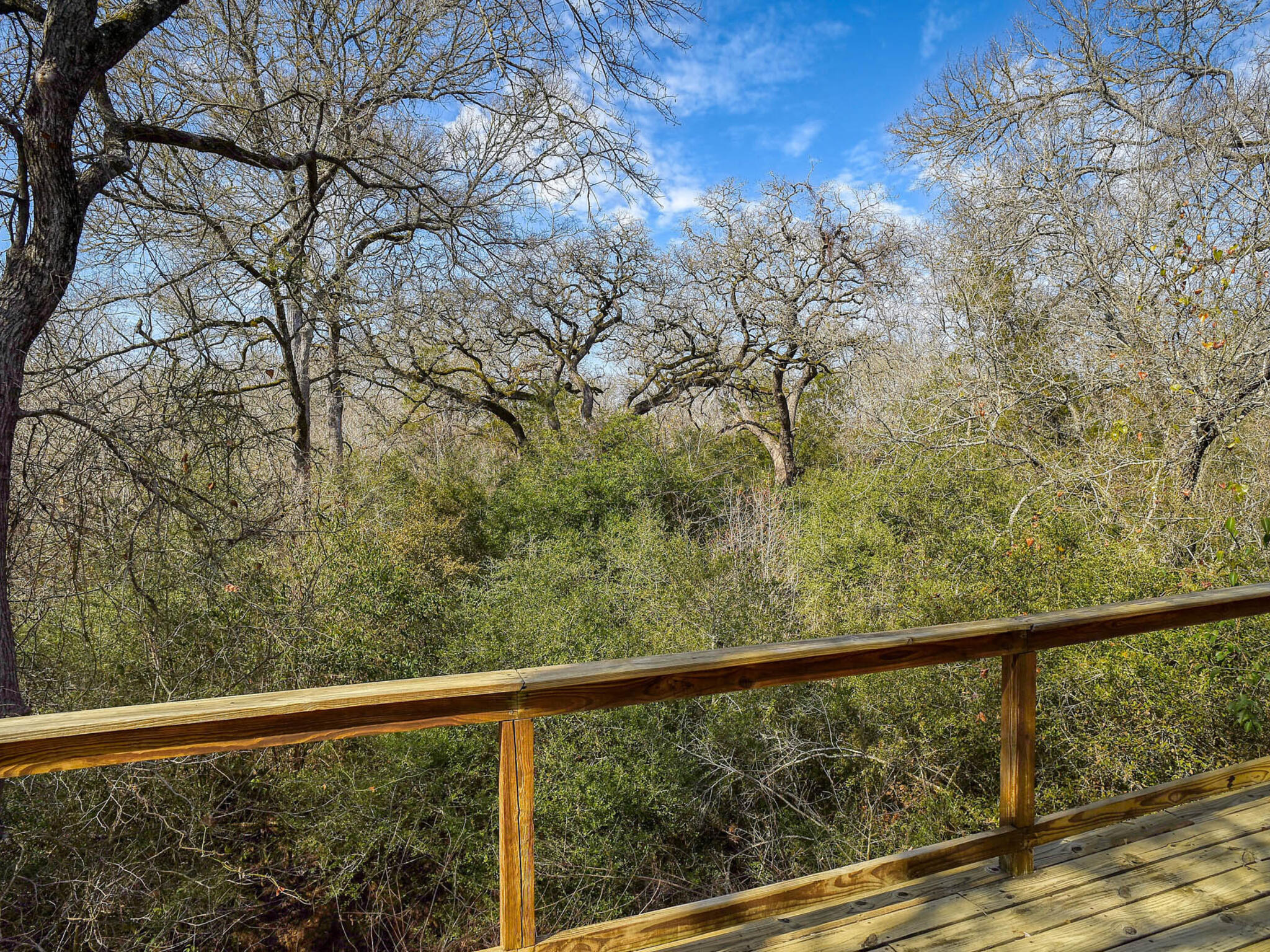 156 Clover Road Cedar Creek, TX 78612 - Photo 33 of 38