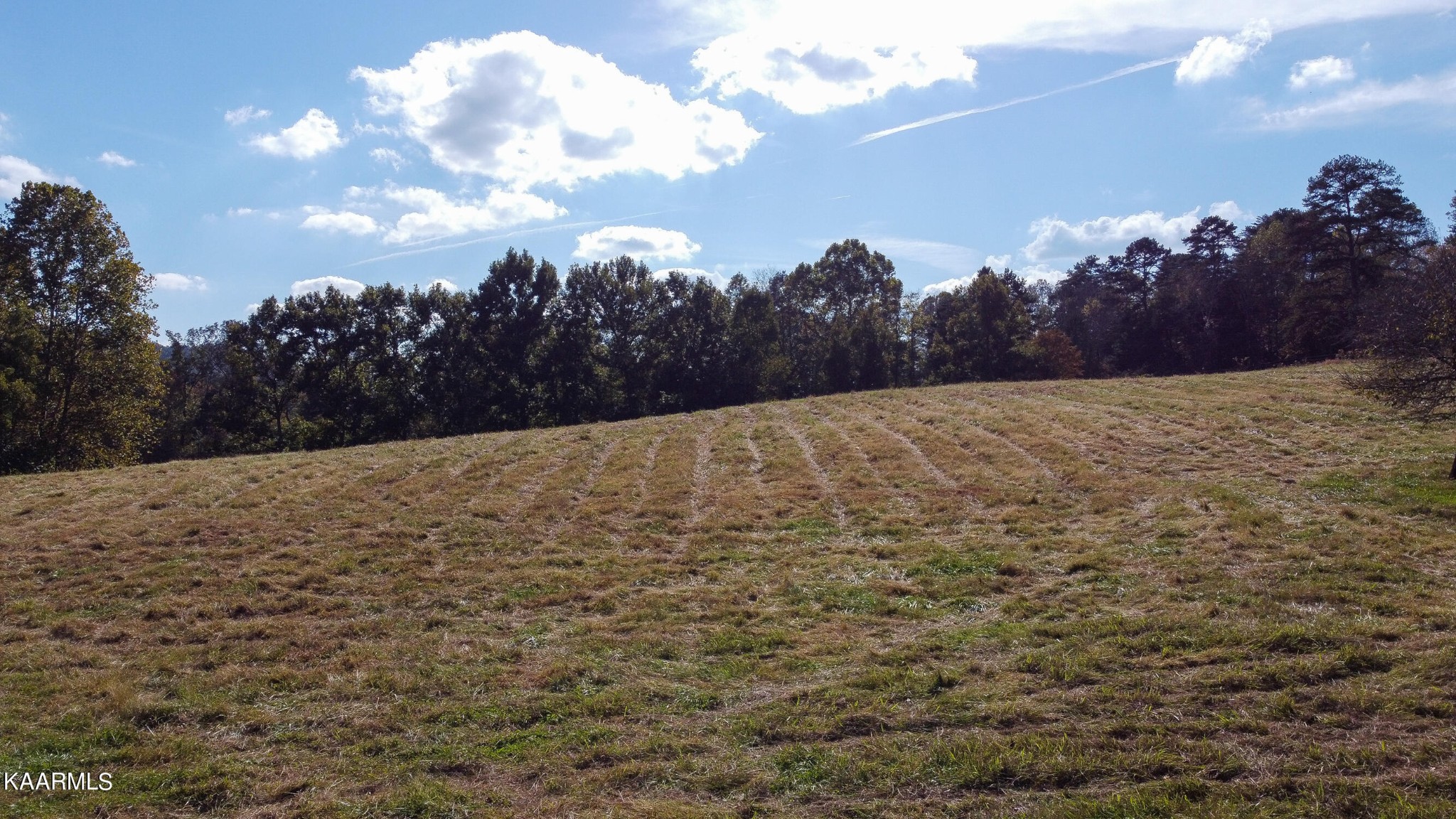 2076 Paint Rock Ferry Road Kingston, TN 37763 - Photo 27 of 52 Gallery Image 27