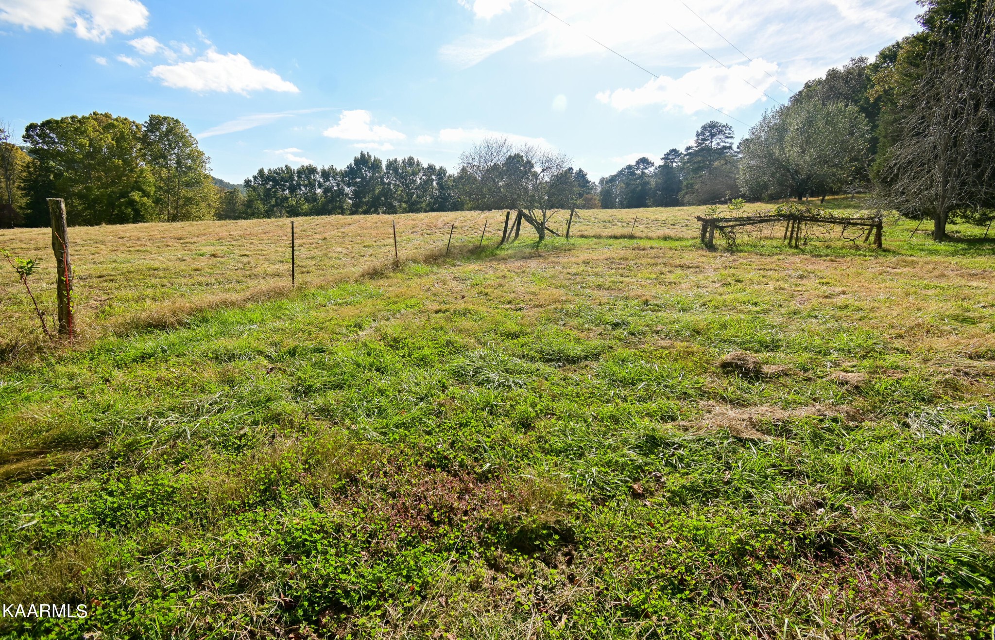 2076 Paint Rock Ferry Road Kingston, TN 37763 - Photo 48 of 52 Gallery Image 48