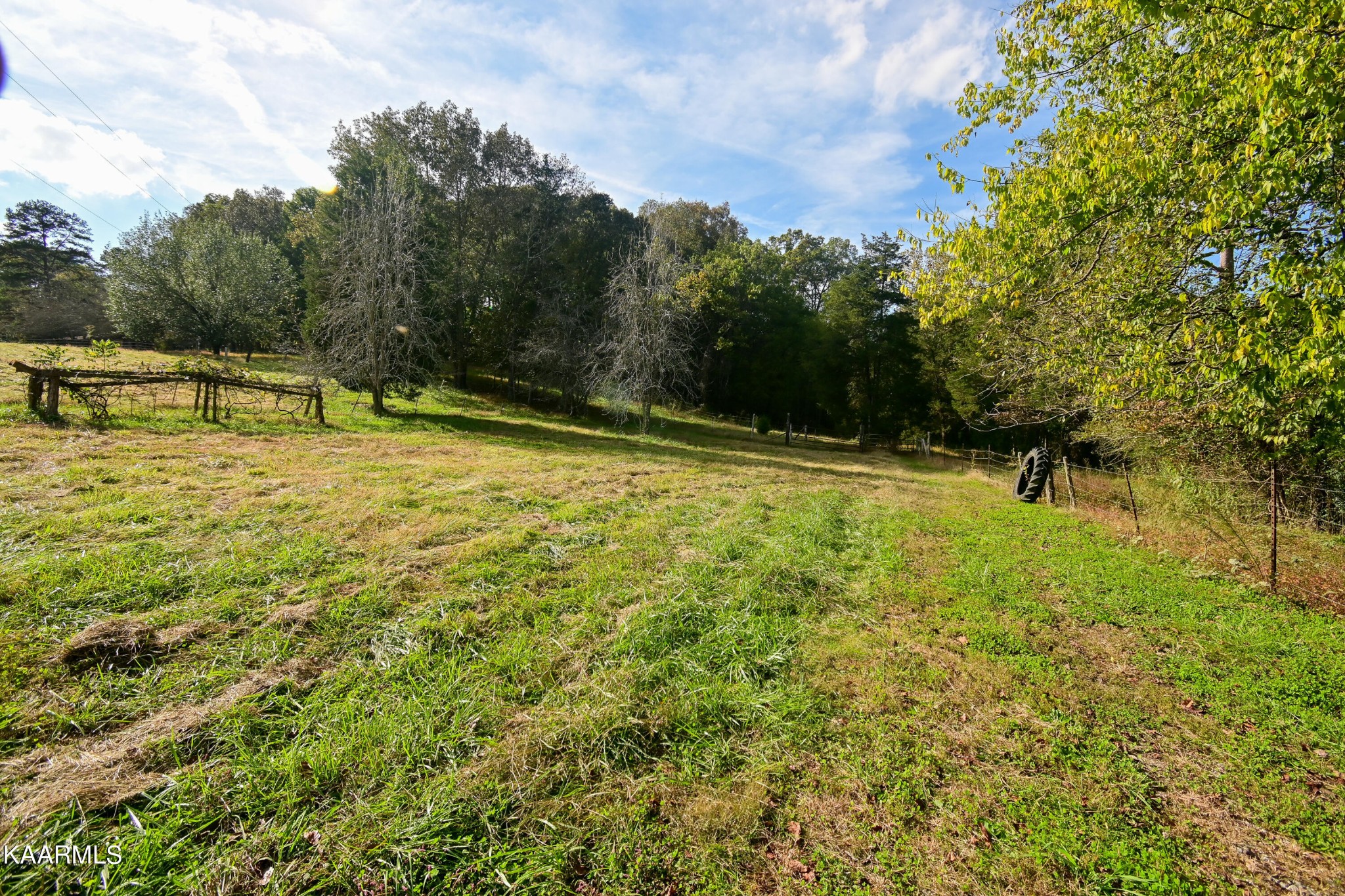 2076 Paint Rock Ferry Road Kingston, TN 37763 - Photo 49 of 52 Gallery Image 49