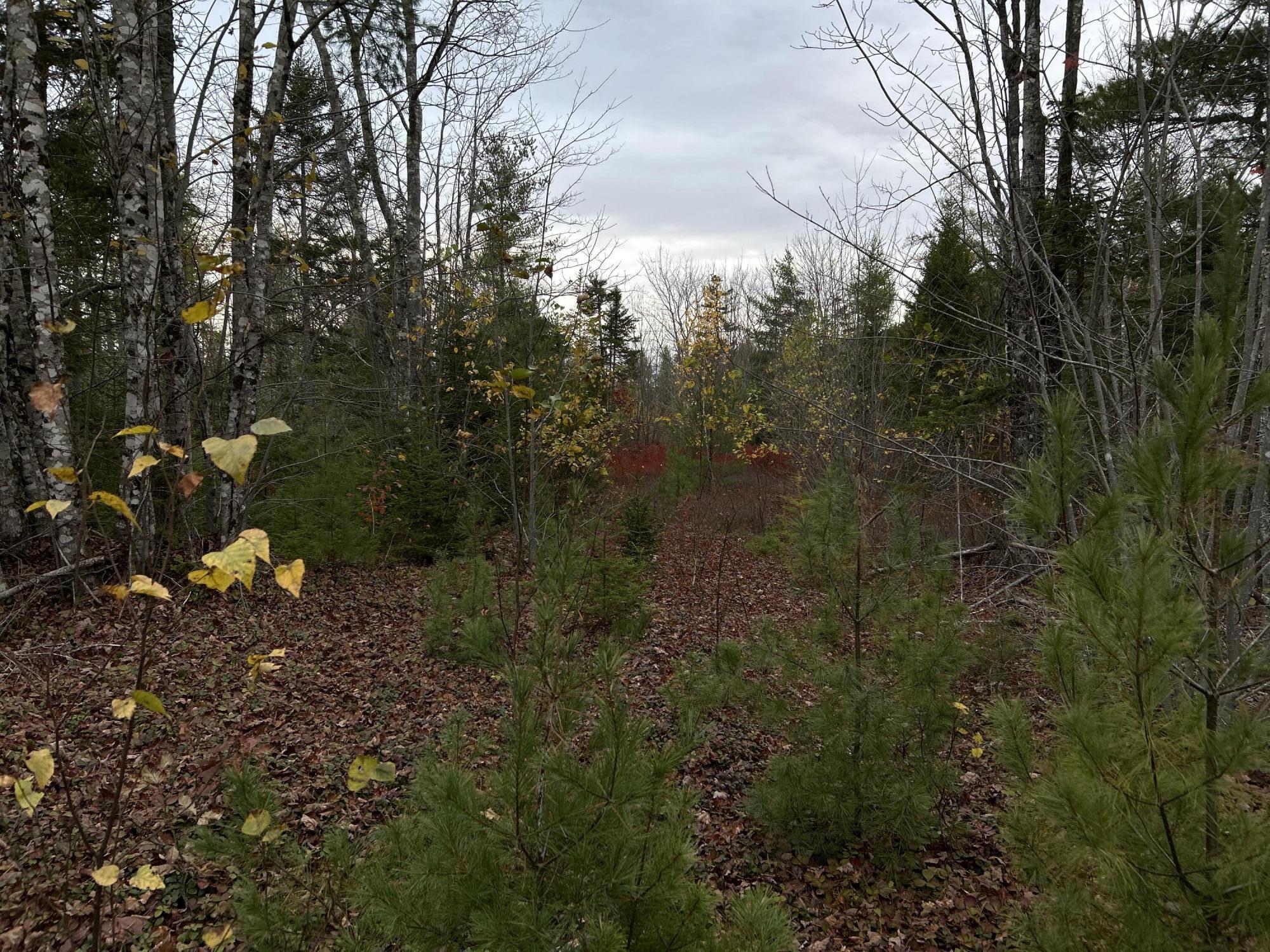 401 Genthner Road Waldoboro, ME 04572 - Photo 7 of 35