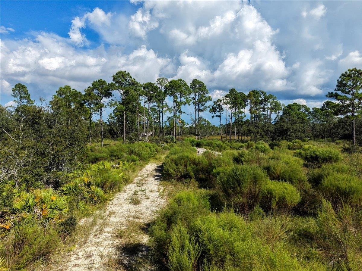 Xx Xx Oak Hill Road Perry, FL 32348 - Photo 28 of 31 Gallery Image 28