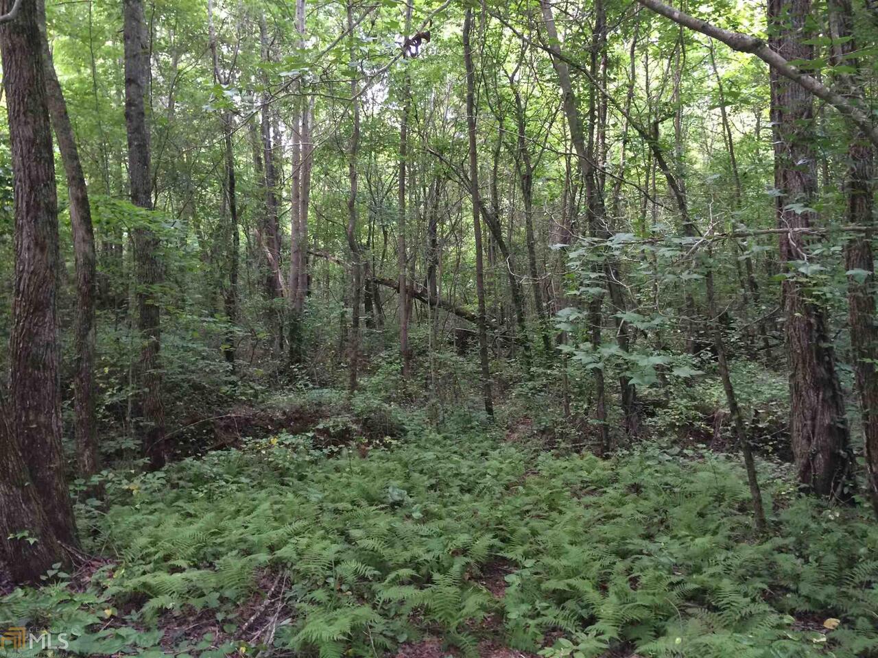 2905 Damascus Road, Unit 20 ACRES Ball Ground, GA 30107 - Photo 1 of 1