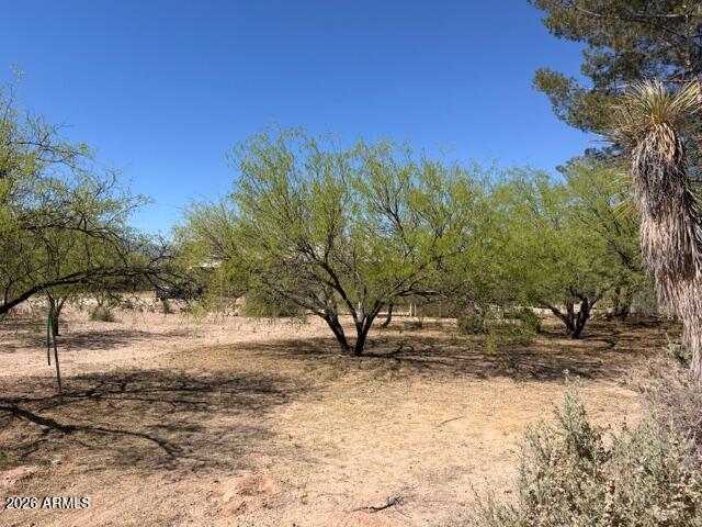 1428 North Cemetery Road Benson, AZ 85602 - Photo 30 of 37 IMG_1081