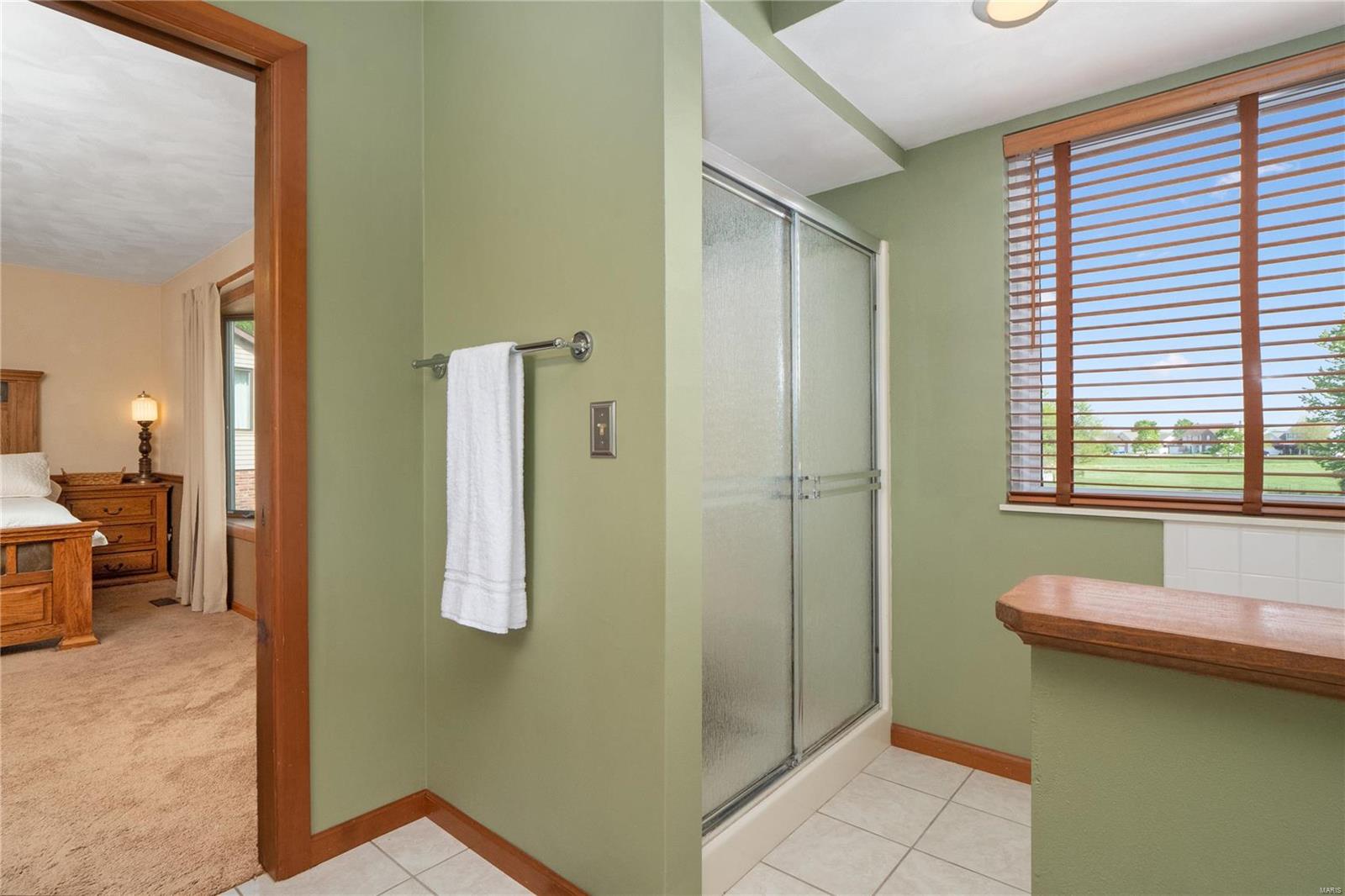 1022 Shadow Ridge Crossing O'Fallon, IL 62269 - Photo 14 of 44