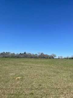 0 East Cottonwood Road Dothan, AL 36301 - Photo 2 of 5