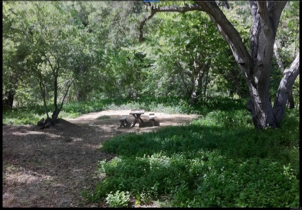 1010 Willow Creek Lane Fallbrook, CA 92028 - Photo 57 of 69 perfect setting for a picnic under the oaks