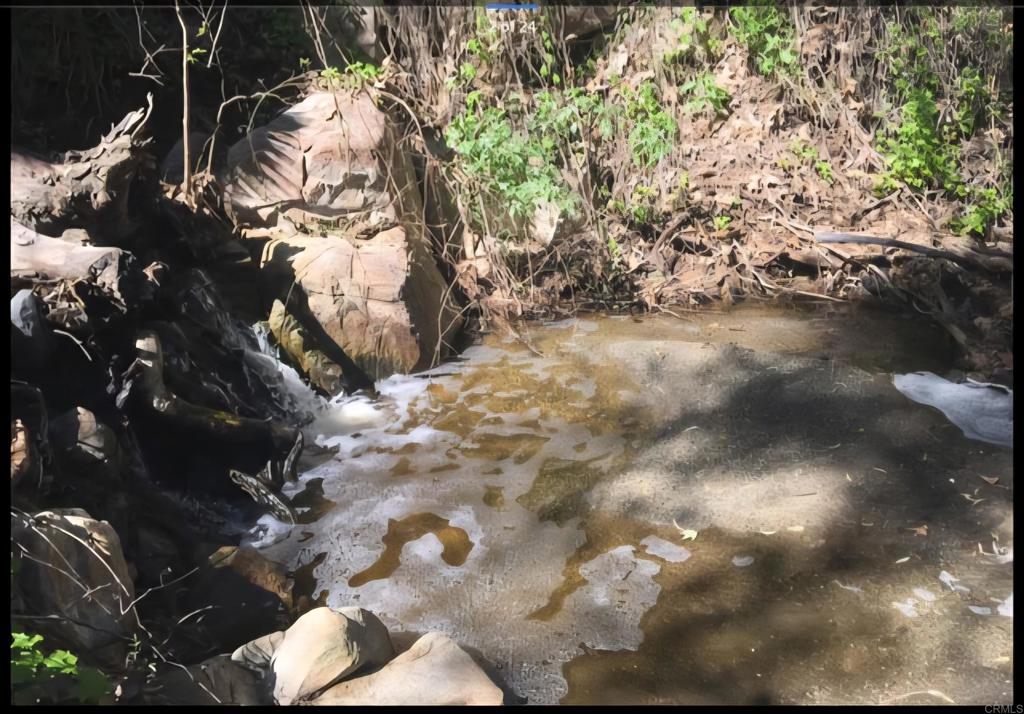 1010 Willow Creek Lane Fallbrook, CA 92028 - Photo 58 of 69 seasonal stream