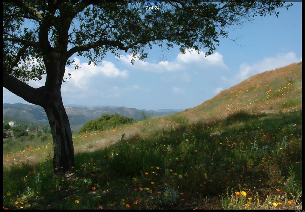 1010 Willow Creek Lane Fallbrook, CA 92028 - Photo 60 of 69