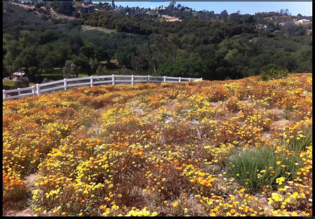 1010 Willow Creek Lane Fallbrook, CA 92028 - Photo 61 of 69