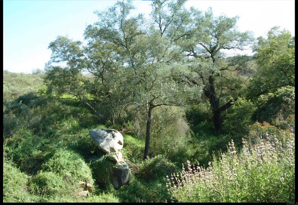 1010 Willow Creek Lane Fallbrook, CA 92028 - Photo 64 of 69