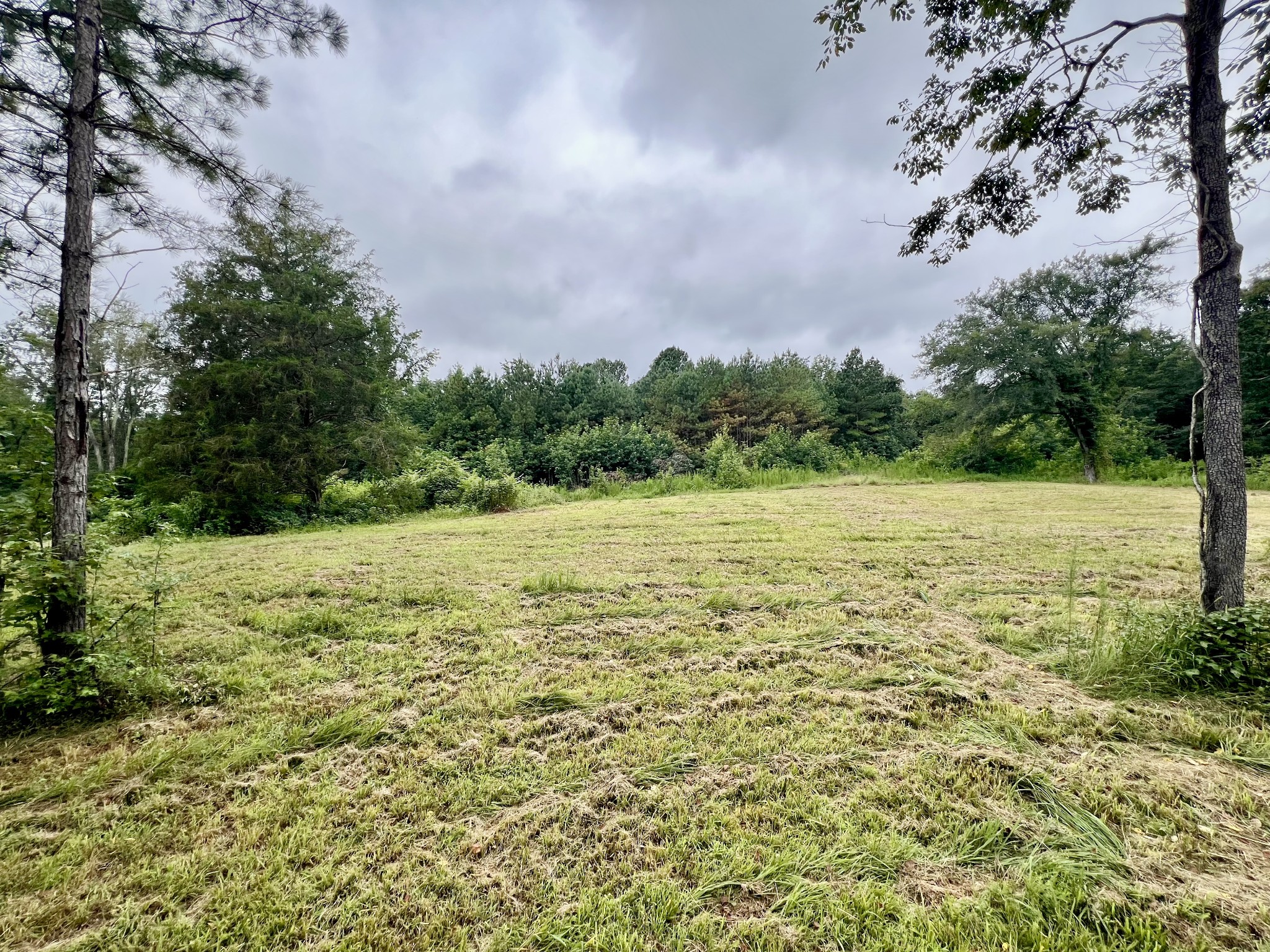 581 Goresville Road Prospect, TN 38477 - Photo 13 of 38 Gallery Image 13