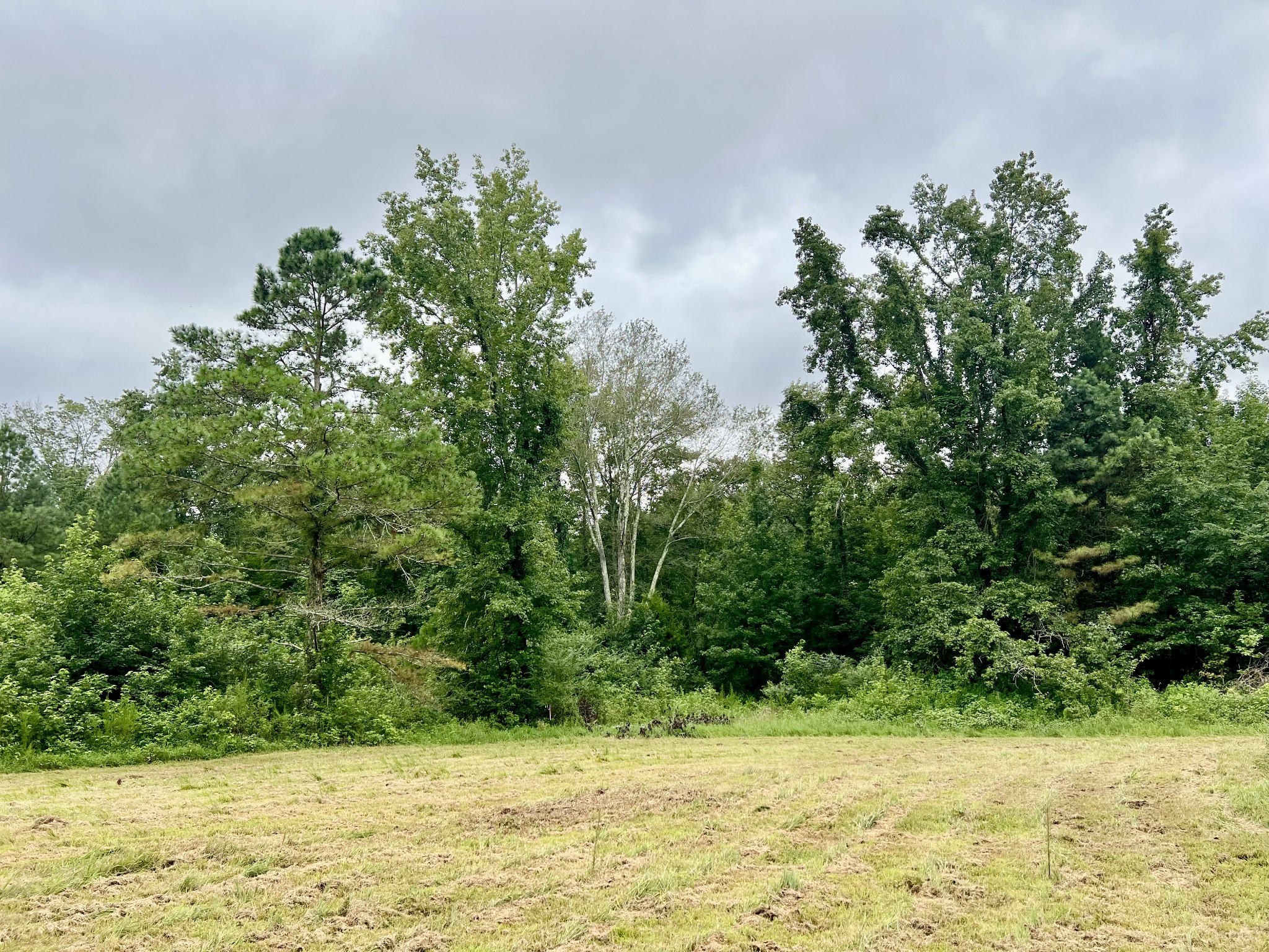 581 Goresville Road Prospect, TN 38477 - Photo 17 of 38 Gallery Image 17