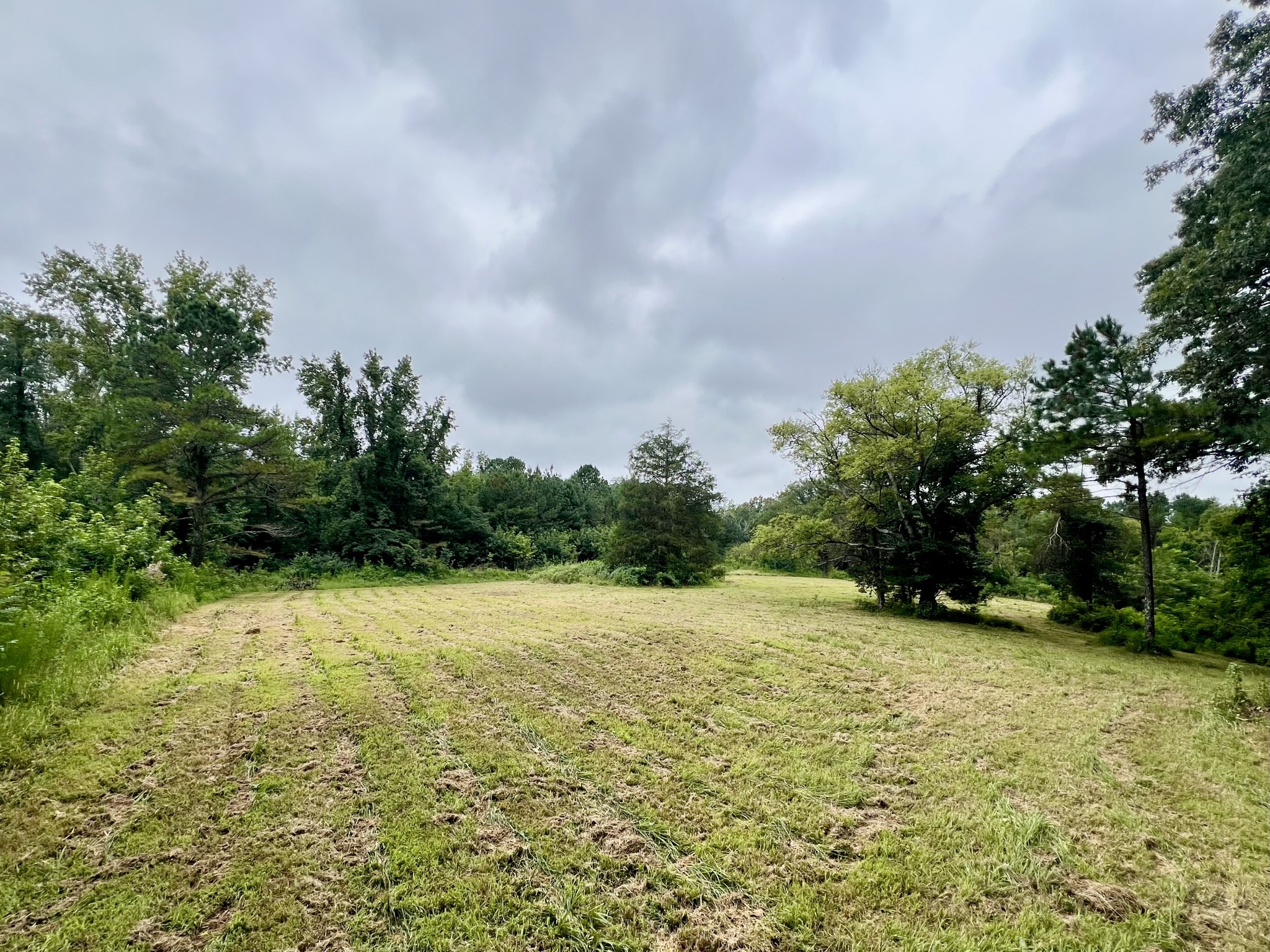581 Goresville Road Prospect, TN 38477 - Photo 6 of 38 Gallery Image 6